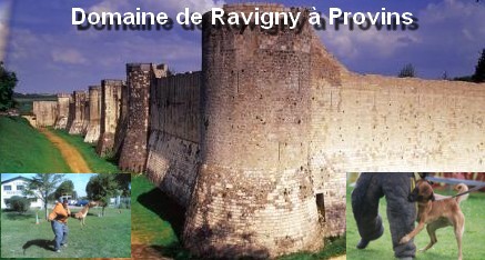 Domaine de Ravigny à Poigny 77160